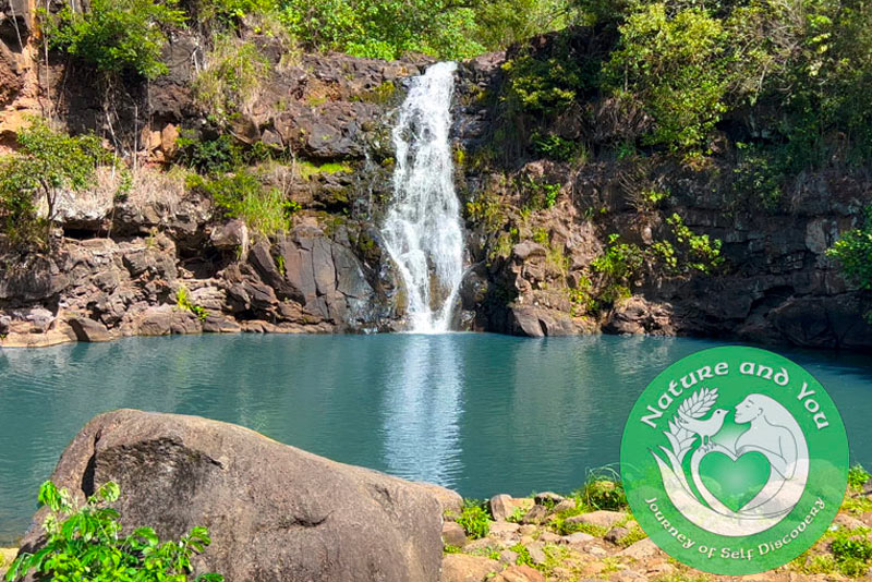 Waimea Waterfall Swim (Seasonal Months Only)