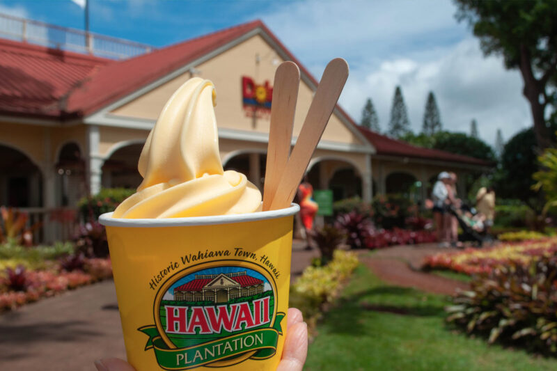 15% Off coupon for Dole Whip