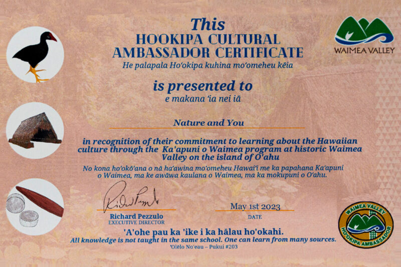 Hookipa Cultural Certificate