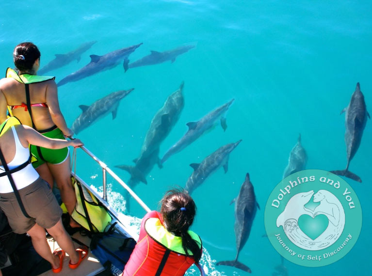 West Coast Oahu Dolphin watch