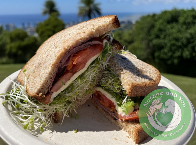 Choise of pastrami sandwich, tuna sandwich, veggie sandwich.